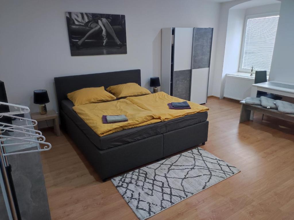Apartmány HAVLÍČKOVA s parkováním zdarma photo 3