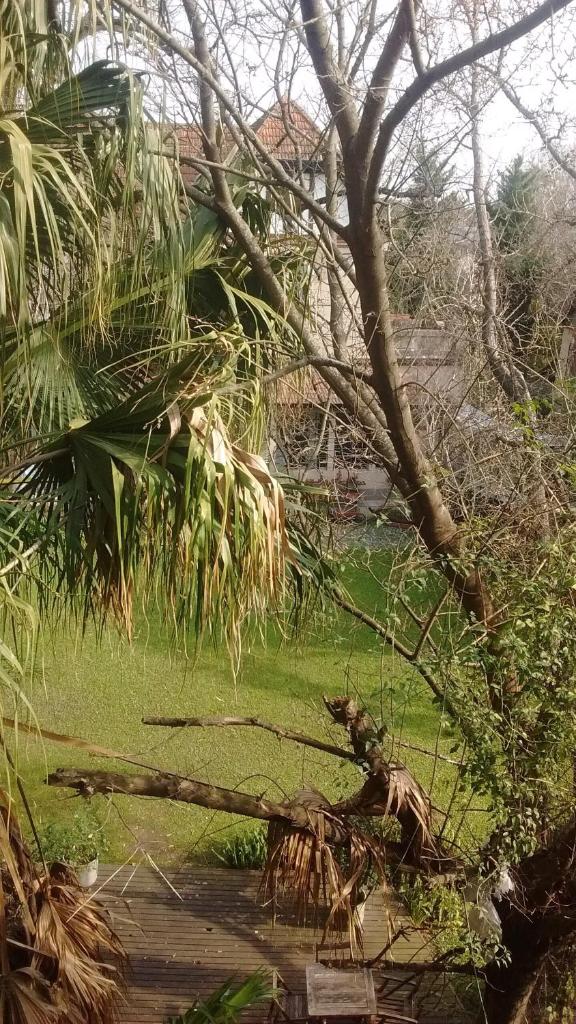 MIRADORES DEL TIGRE photo 4
