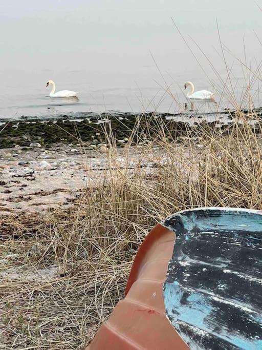 Hyggeligt lille sommerhus tæt ved strand