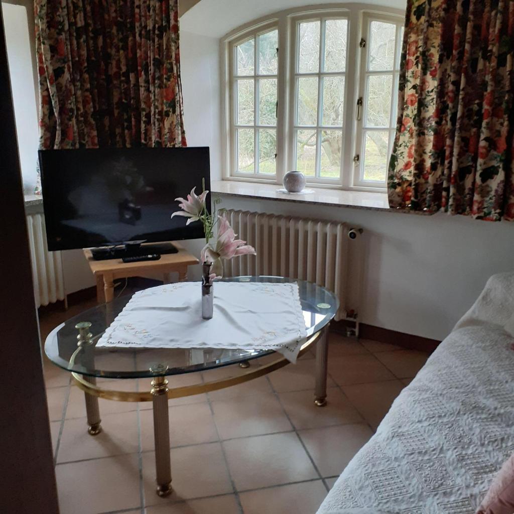 Hackerhof-Suedwohnung photo 3