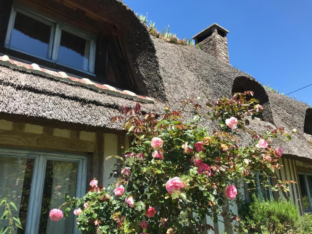 Chaumière aux portes d'Honfleur photo 3