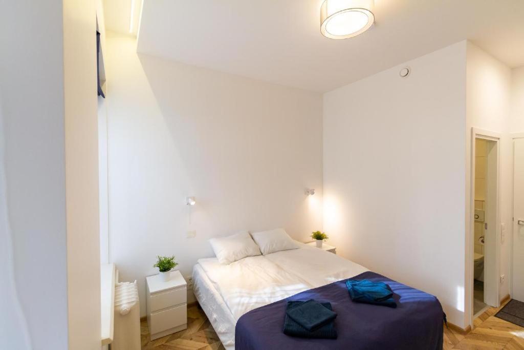 HOT SPOT Vilnius Apartments! Room Type - One-Bedroom Apartment