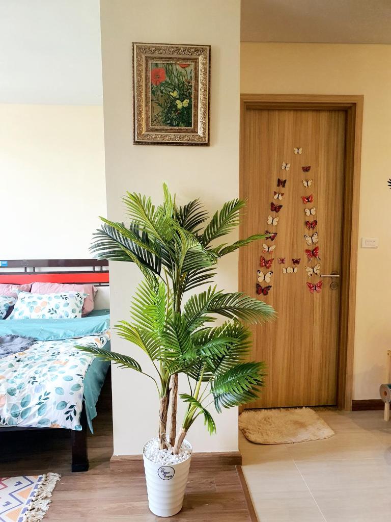 One bedroom studio House of Flower Homestay