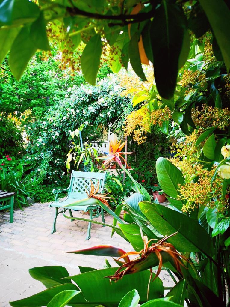 La casa nel villaggio photo 2