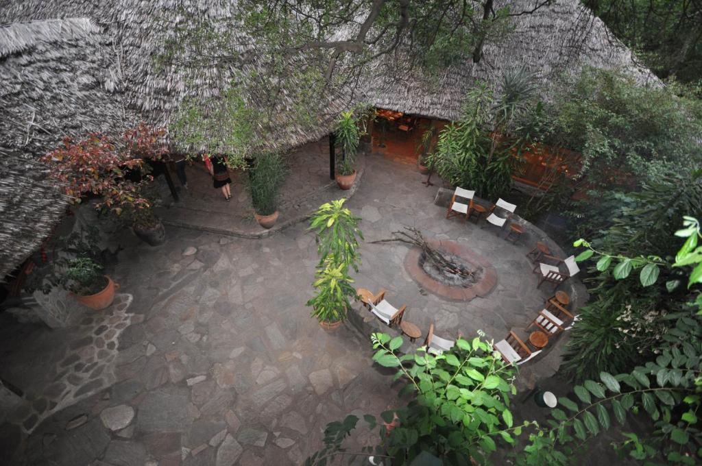Fig Tree Camp - Maasai Mara photo 3