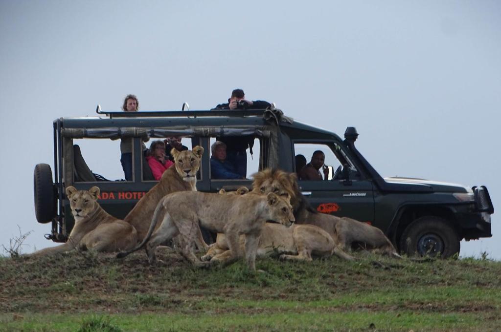 Fig Tree Camp - Maasai Mara photo 4