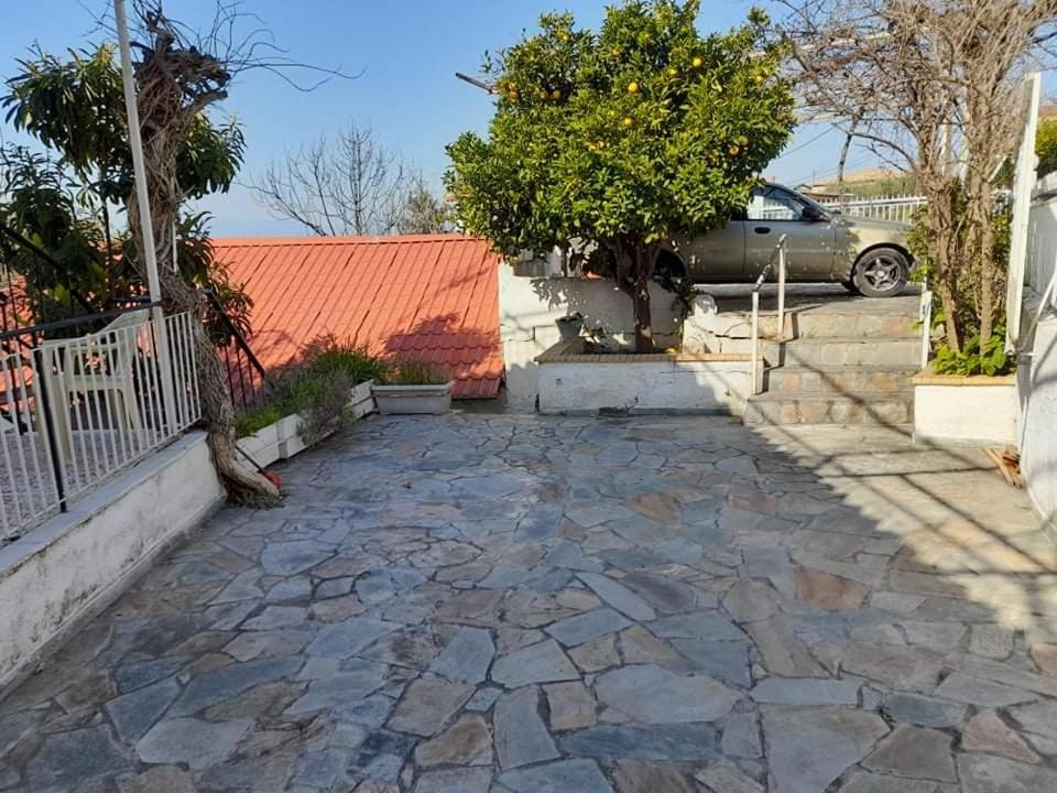 Vacation House Dionysia photo 2