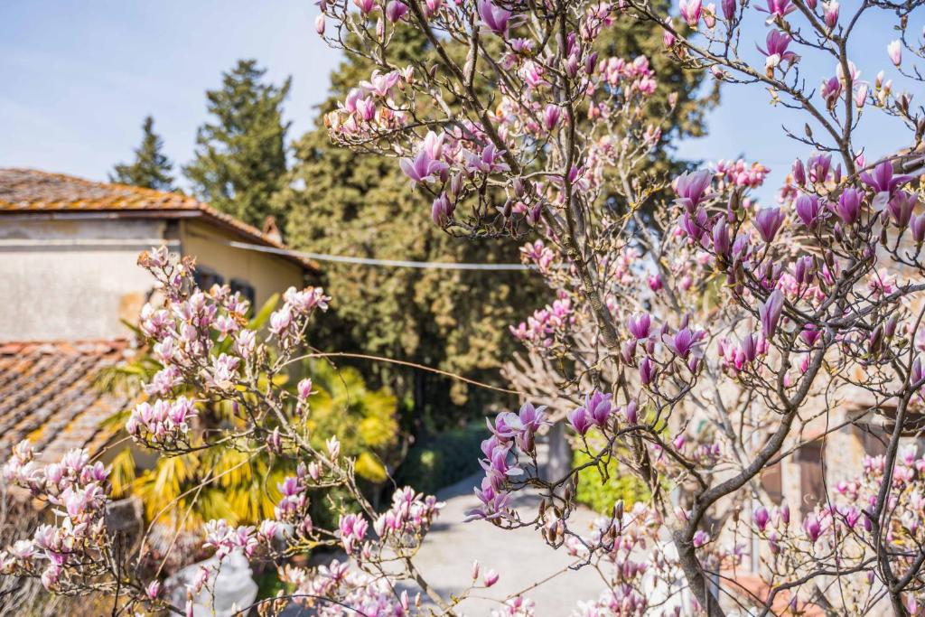 La Magnolia photo 4