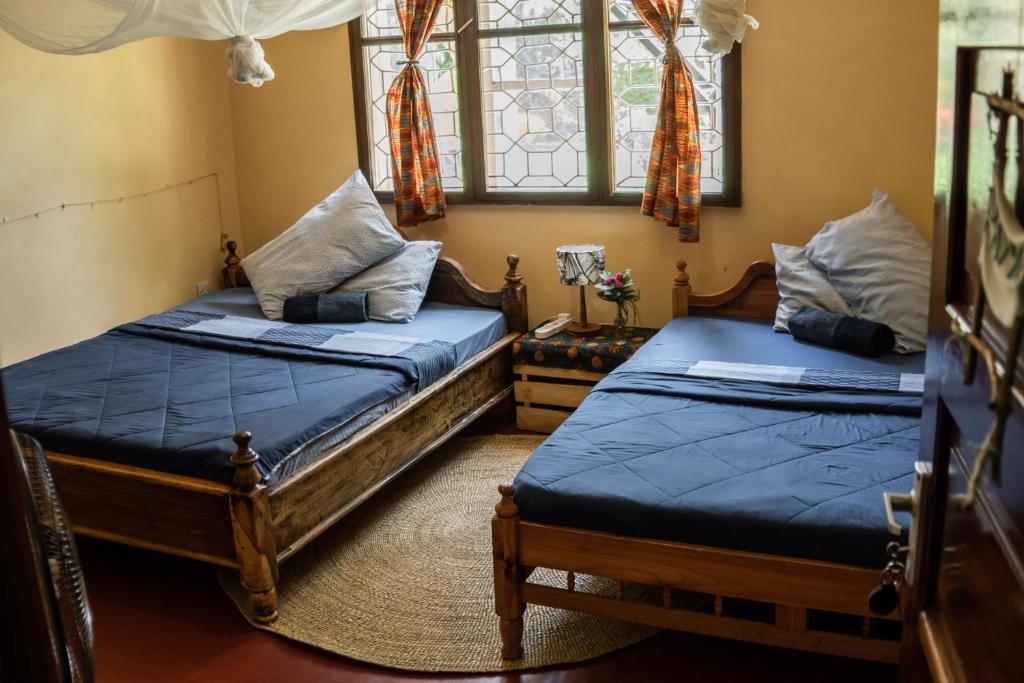 Kiwavi Home photo 3