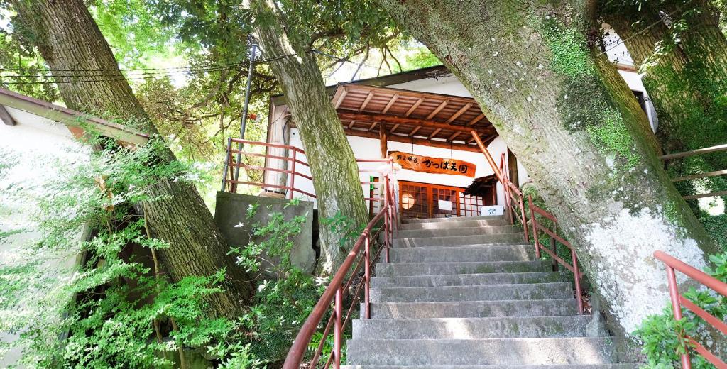 Kappa Tengoku photo 3