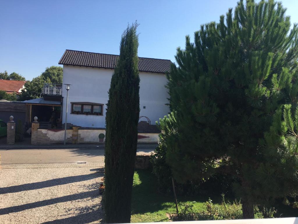 Apartment für zwei Personen in romantischem Weindorf photo 3