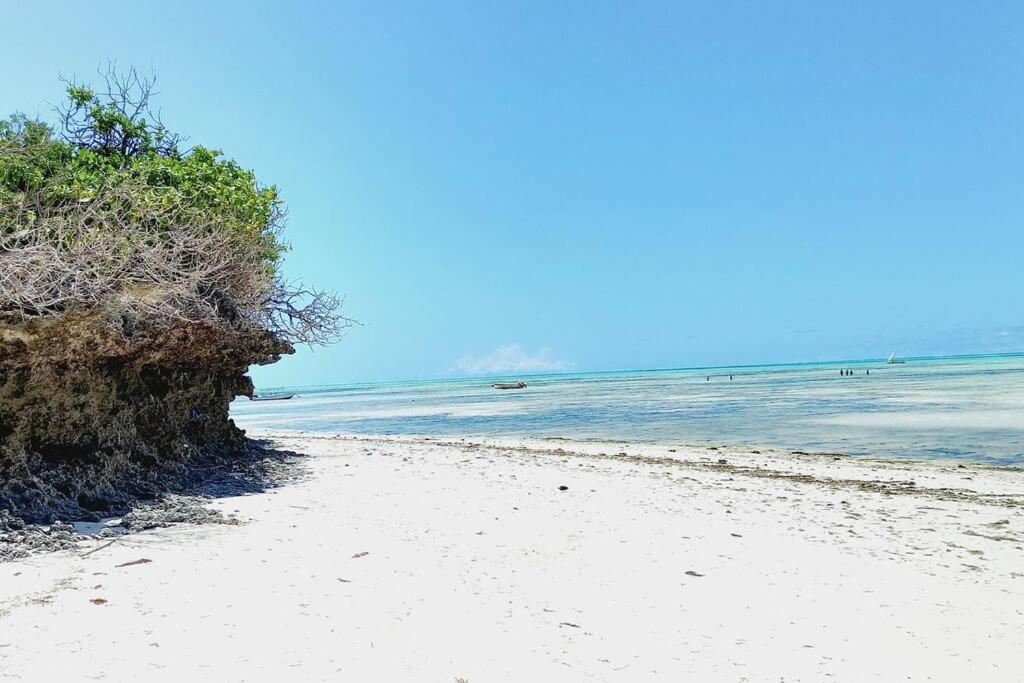 Jambo Jambiani Beach Villa, Beautiful private villa at 2 minutes from the Beach photo 3