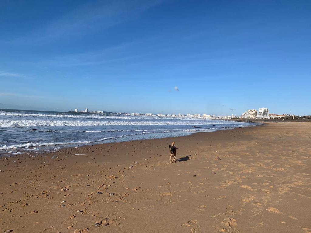 Appartement vue sur mer photo 4