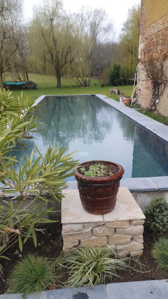 le moulin de Varax photo 2