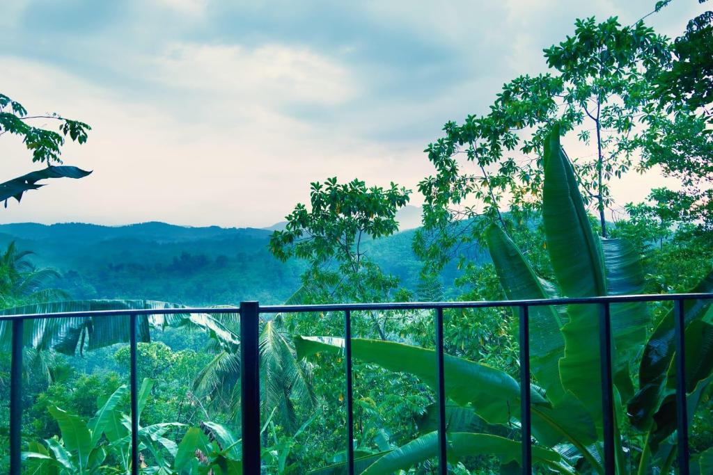 Discovery resort photo 4