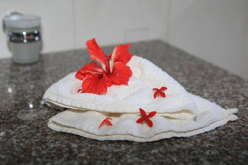 Двухместный (Стандартный двухместный номер с 1 кроватью), Villa Veuve Casadani Hotel