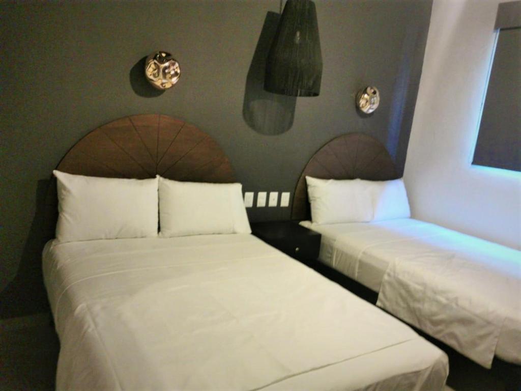 HM HOTEL EXPRESS photo 3