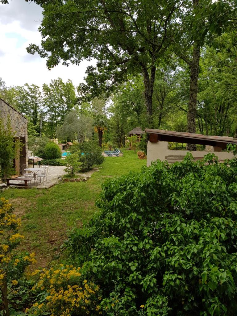 La cabane de Pioupiou photo 2