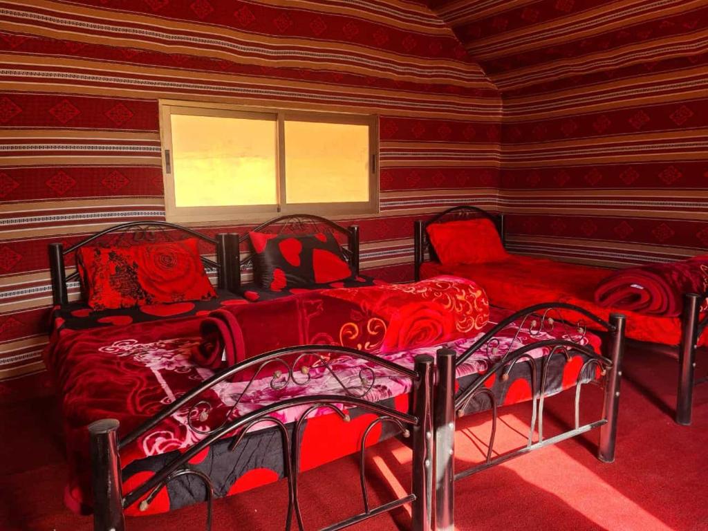Wadi rum Local guide camp photo 2