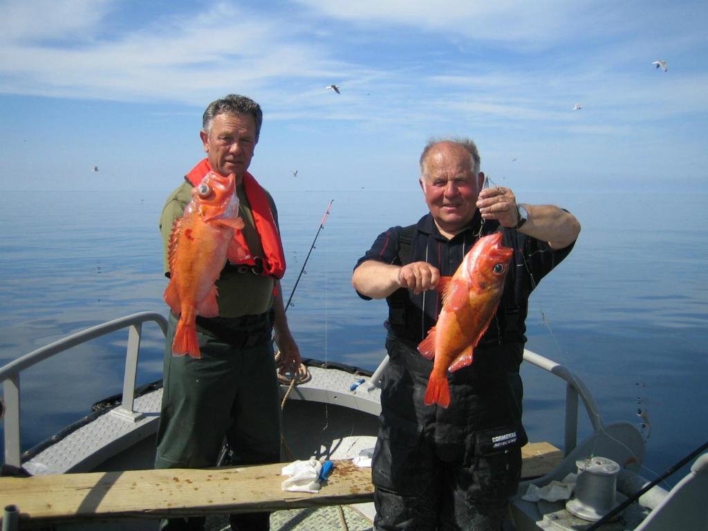Havglimt photo 4