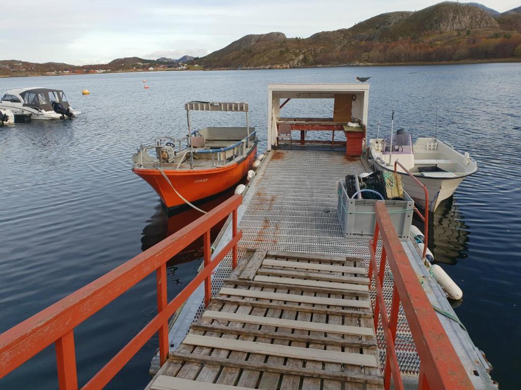 Havglimt photo 1
