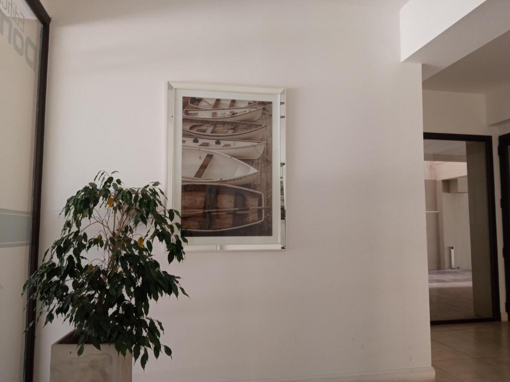 Apart Pm Domus photo 2