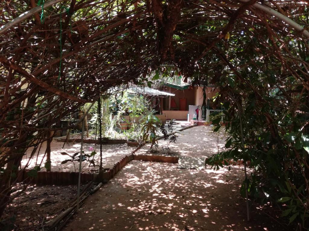 Sigiriya Freedom Lodge photo 1