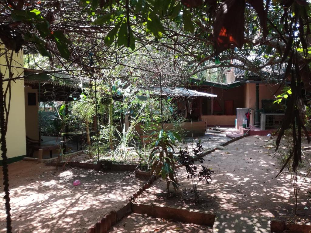 Sigiriya Freedom Lodge photo 4