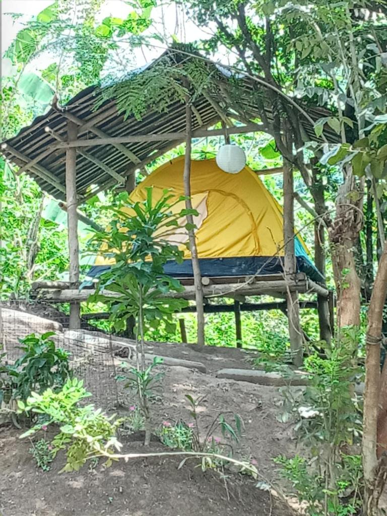 Raw Camping at Camping Paradise Singalong Mountain Garden