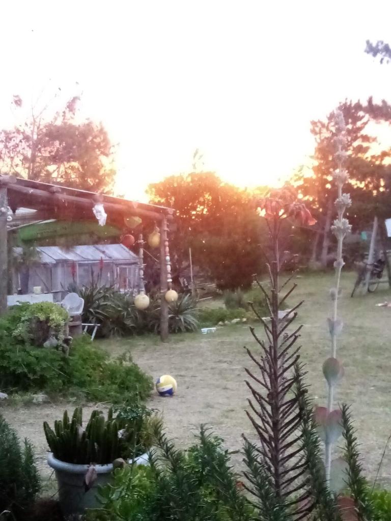 El Rancho de arenas de Jose Ignacio photo 3