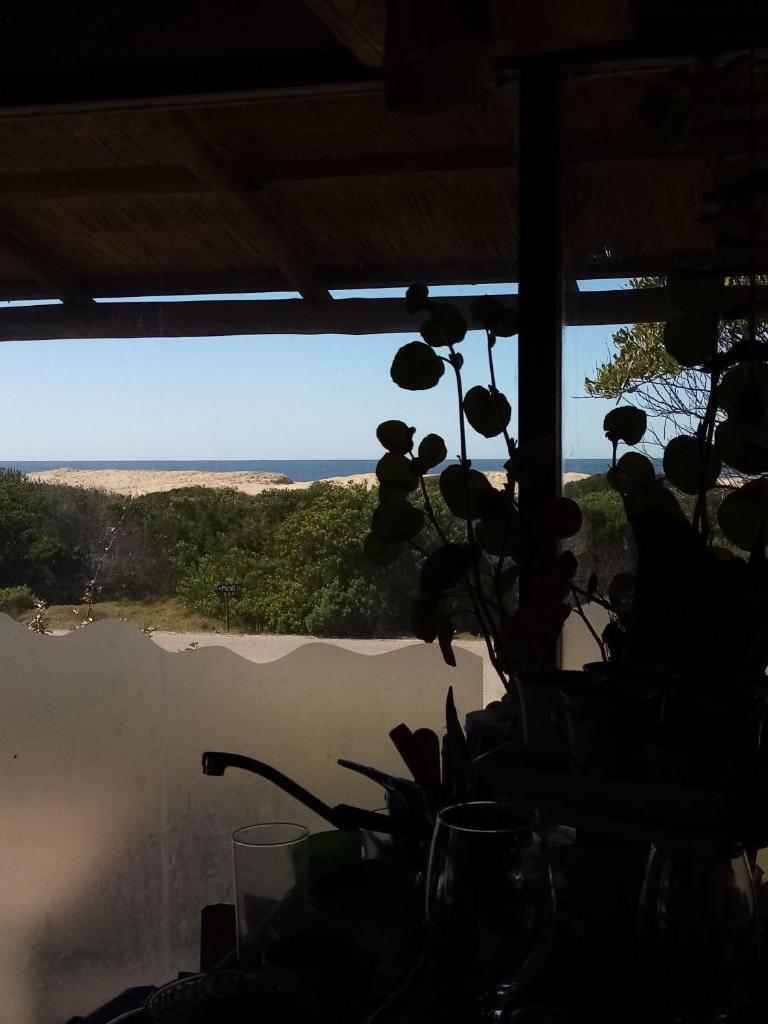 El Rancho de arenas de Jose Ignacio photo 2