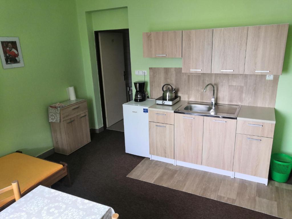Ubytovani, (apartman) - sportovni hala TJ photo 2