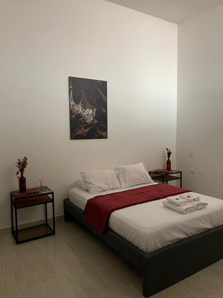 Terramonti House photo 4