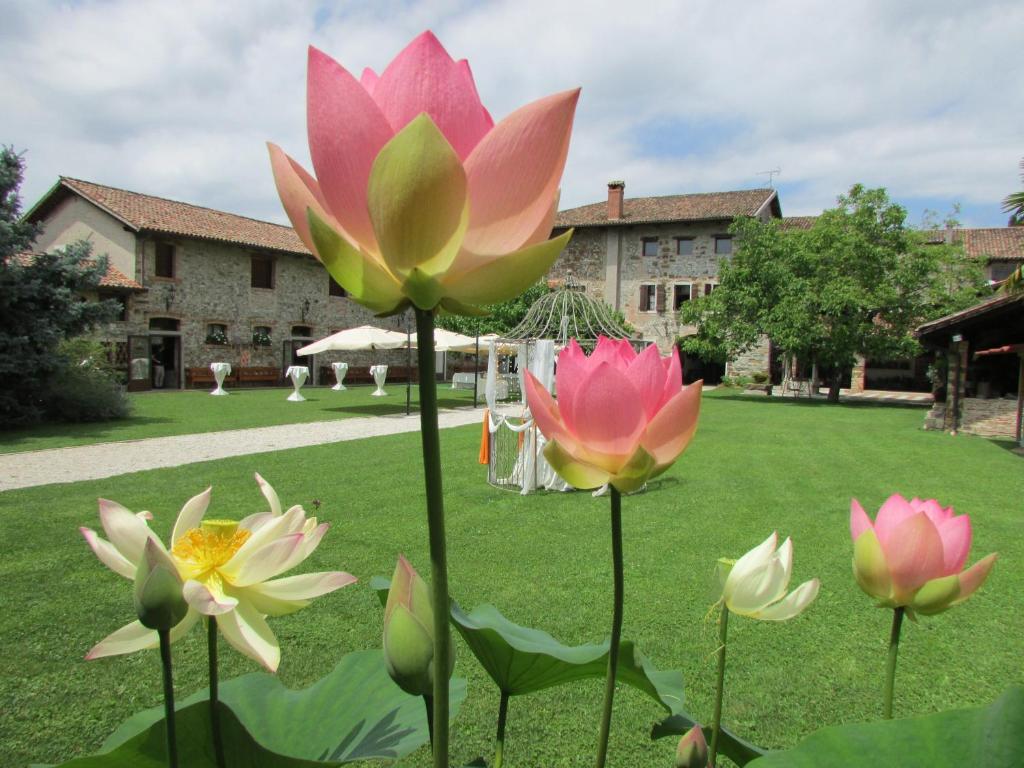 Agriturismo il Vagabondo photo 1