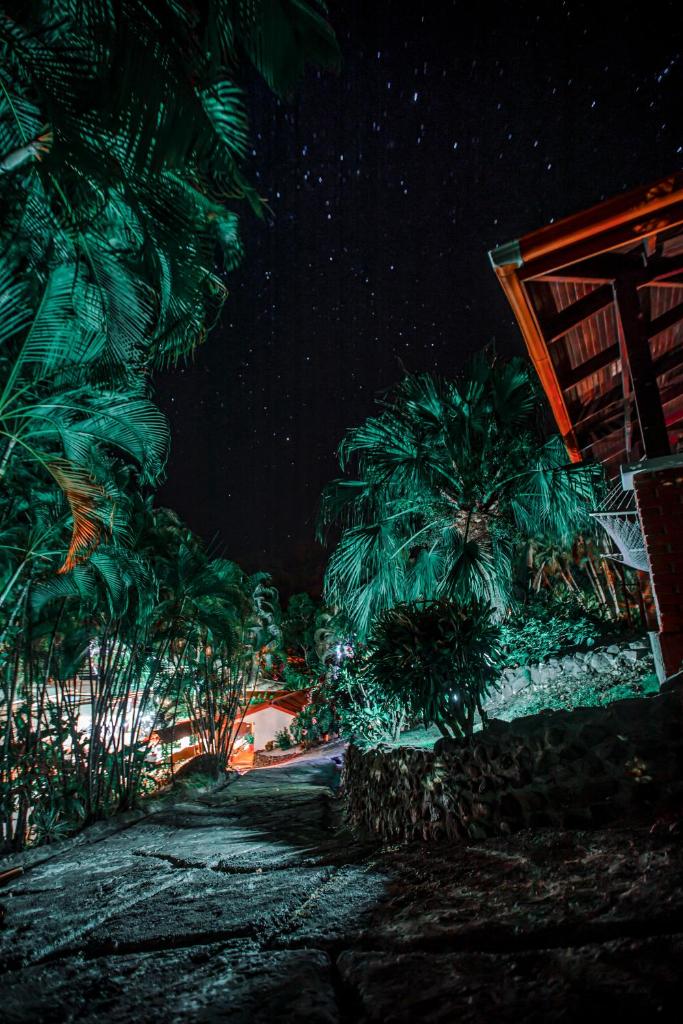 Hotel El Jardin photo 4