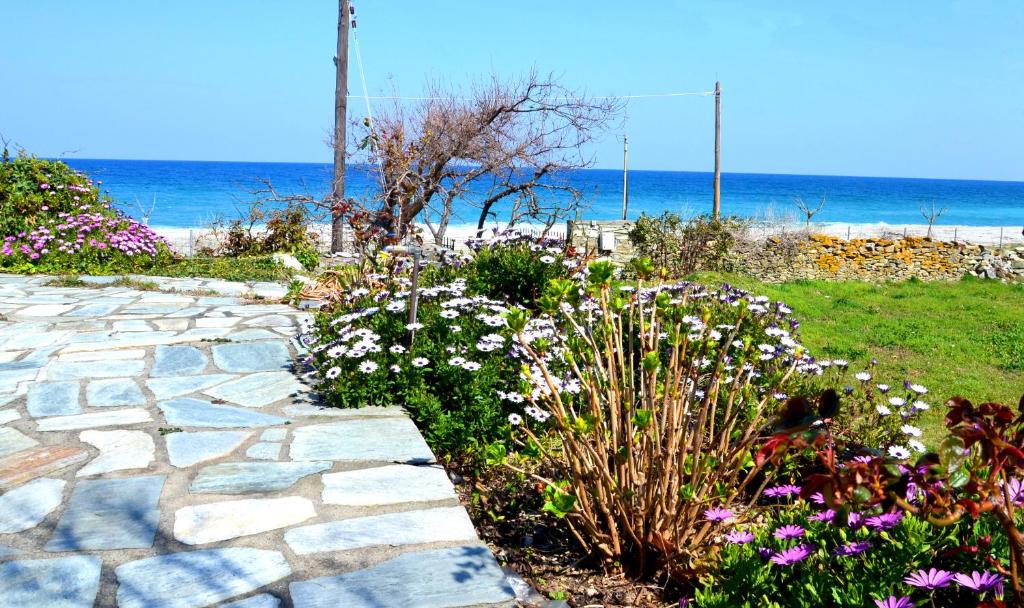 Electra Beach House photo 1
