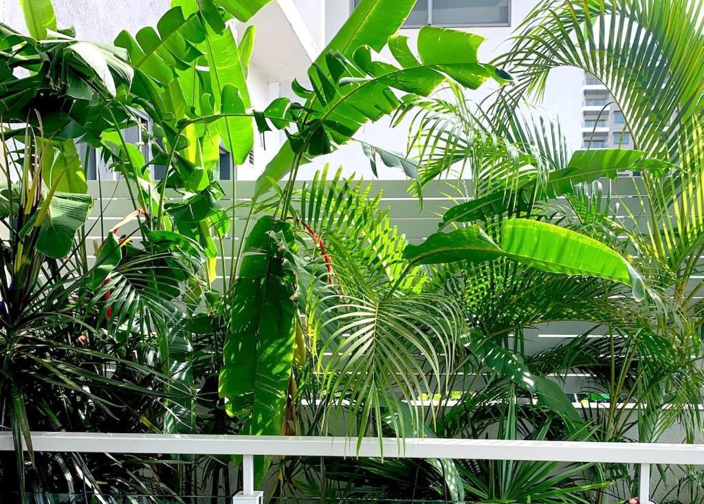 Darwin City Chic@Kube Apartments photo 4