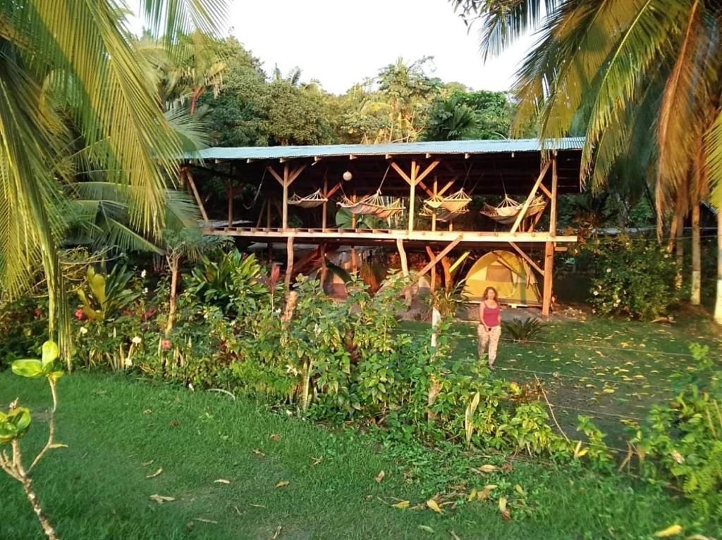 Life for Life Hostel Drake Bay Home of Sea Turtle Marine Conservation Project Osa Peninsula near San Josecito Beach photo 2