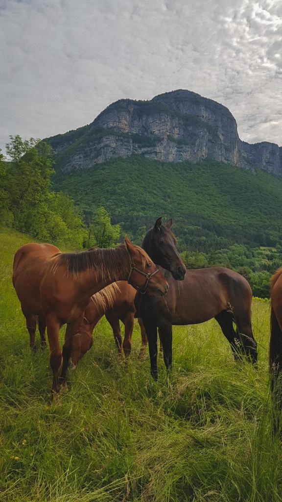 Suite au pied de la montagne et vue imprenable photo 1