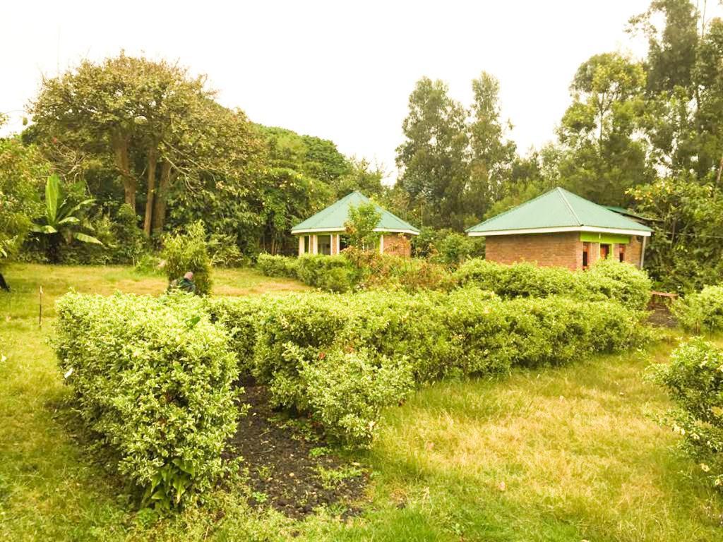 Amajambere Iwacu Community Camp photo 3