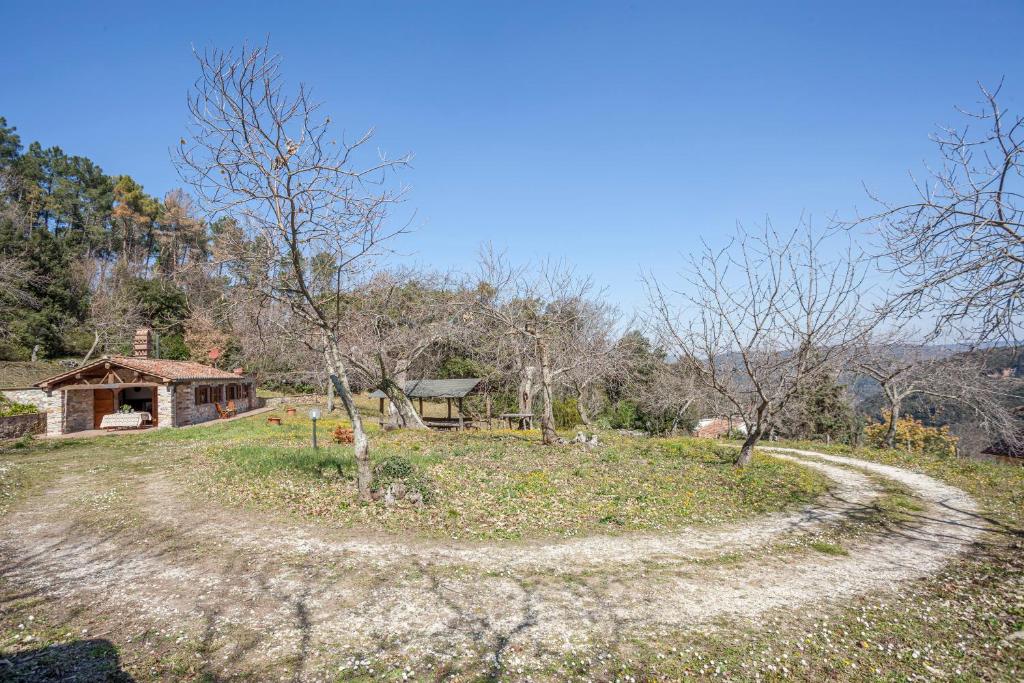 Casa nel Bosco photo 4