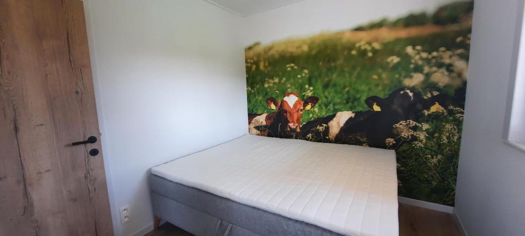 La vache au lit photo 4