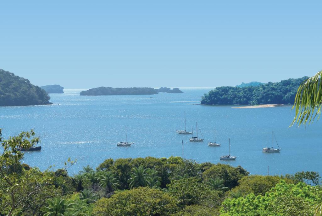 Bocas del Mar photo 2