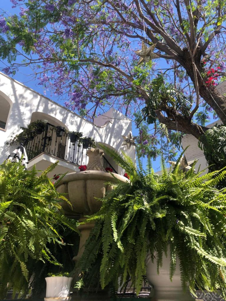 Casa Laní Luxury B&B photo 4