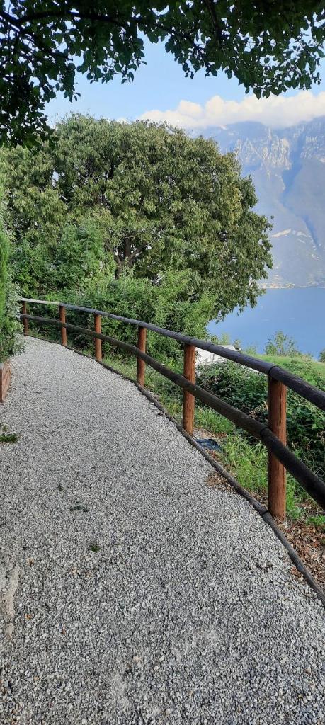 Carlino Appartamento giardino e piscina by Garda Domus Mea photo 4