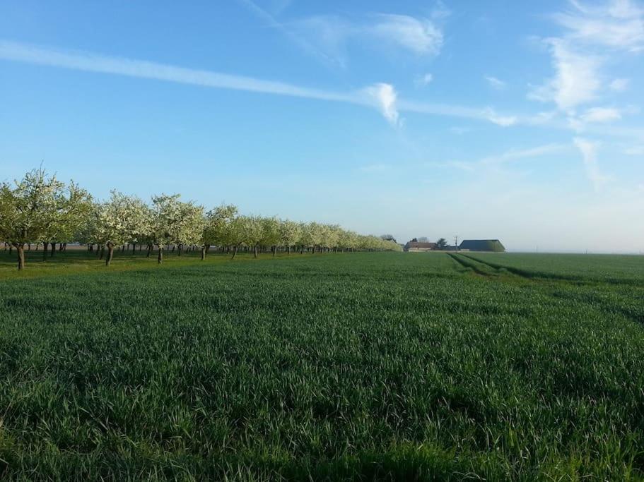 Gîte Les Mirabelles photo 3