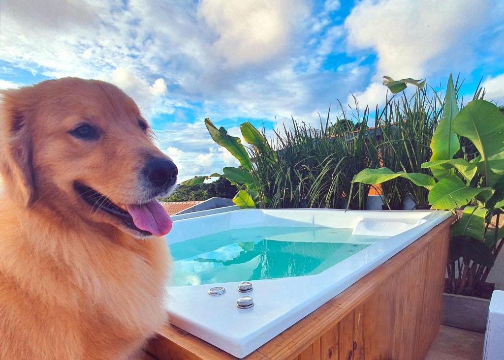 Vila Pitangueira - Apto Laranja - No Centro de Serra Grande com Piscina, Jacuzzi, Internet Veloz