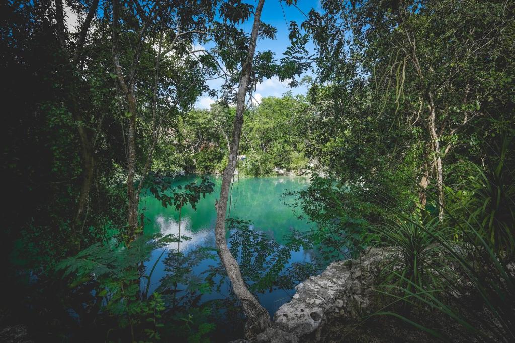 Wakax Hacienda - Cenote & Boutique Hotel photo 1