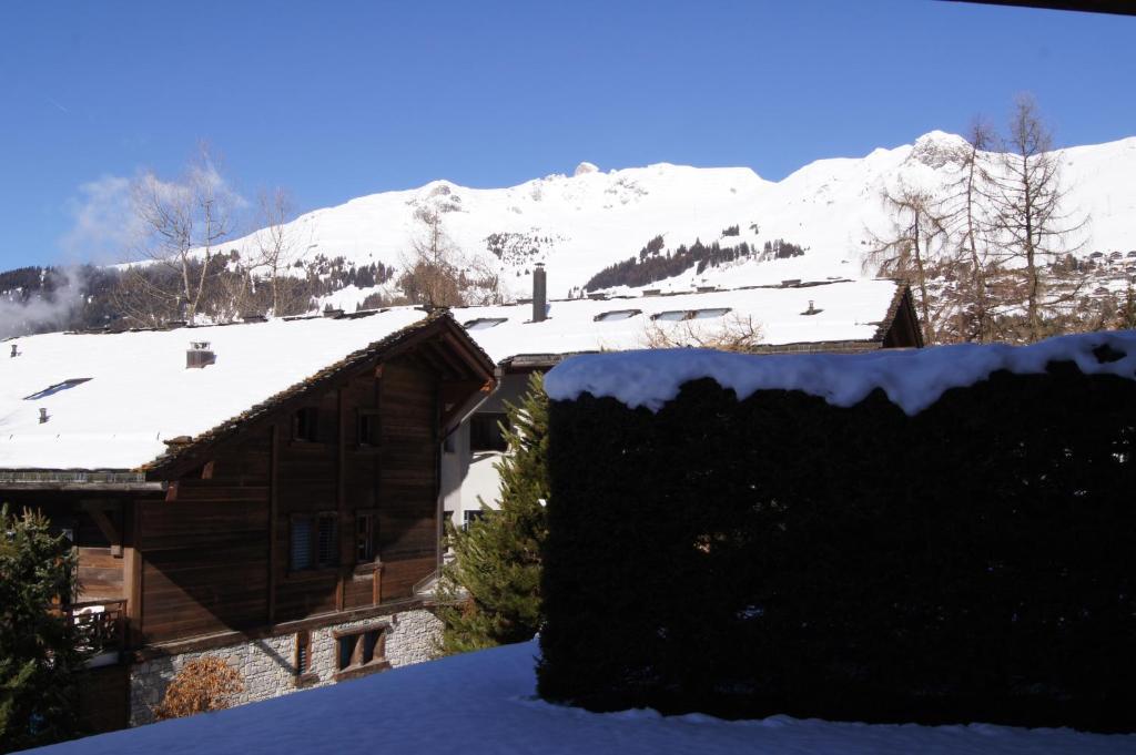 Aubépine 014 photo 3