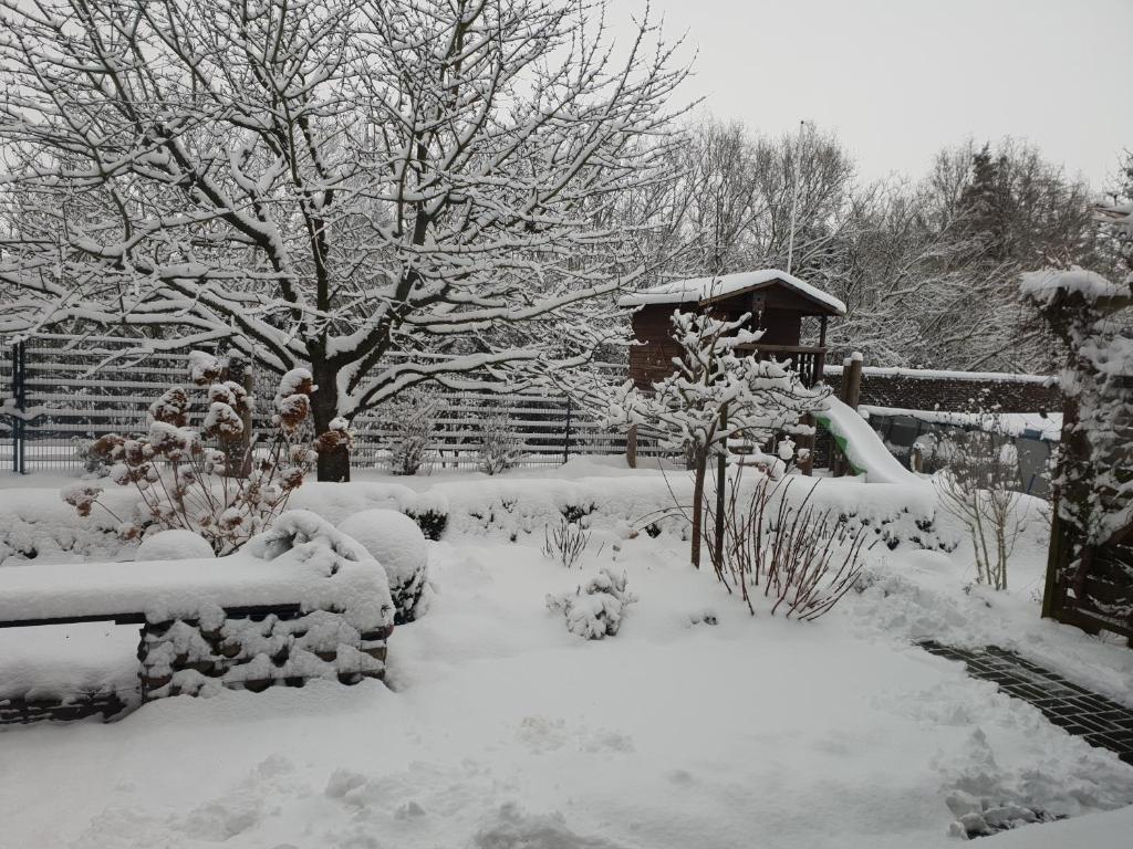 Ferienhaus am Burggraben photo 2
